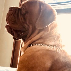 Meet your Posher, Edgar